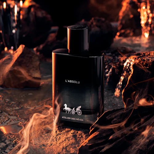 L'ABSOLU                    89,00€